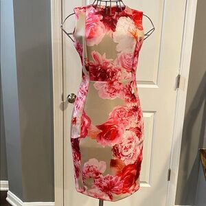 Calvin Klein Sleeveless Midi Dress in Pink and Red Floral